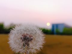 -北京国家会计学院