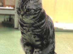 -藦茜花园宠物主题亲子互动体验馆(国顺东路店)