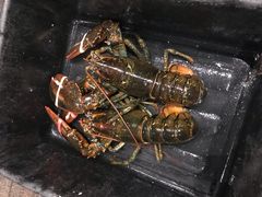 -鱼乐轩海鲜专门店