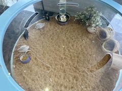 -上海怡沁园度假酒店