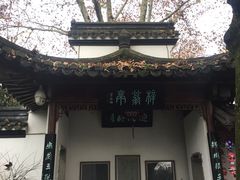 -郭庄茶室