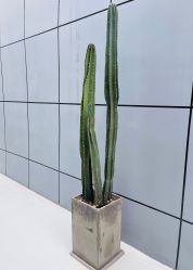 -无界瑜伽普拉提