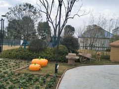 -阳澄湖半岛旅游度假区