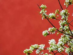 -花家怡园