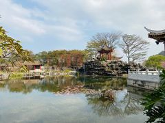 -顺峰山公园