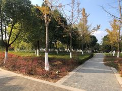 -九里河湿地公园