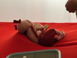 -玛瑞莎孕婴童摄影到家拍