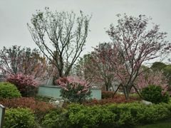 -汉堡王(嘉定宝龙城市广场)