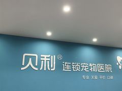 -贝利宠物医院·骨科·眼科·肿瘤转诊中心(南坪诊疗中心)