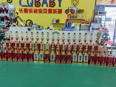 -长春乐奇平衡车儿童体能运动中心