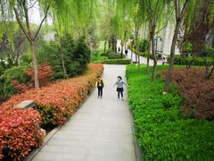 -西安汉城湖景区