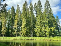 -黄海国家森林公园