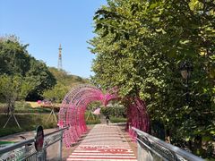 -佛山华盖山公园
