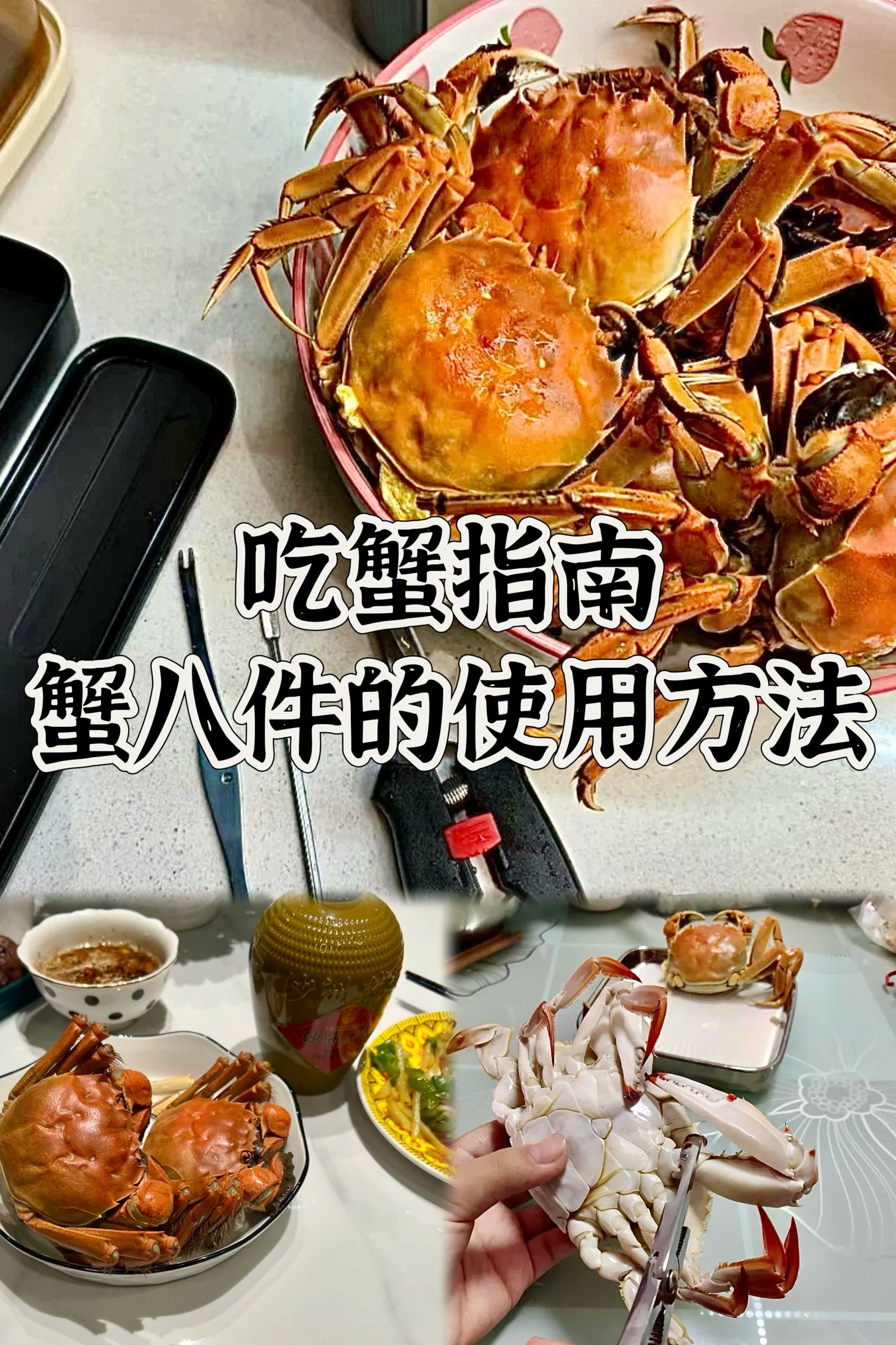 精致吃蟹指南 | 蟹八件的正确打开方式✂️
