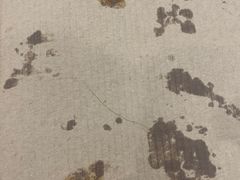 -做披萨的奇葩(中海央墅店)