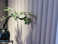 -喜湘宴·精致湖南菜(和平西桥店)