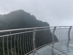 -秦岭天竺山景区