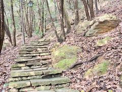 -杭州半山国家森林公园