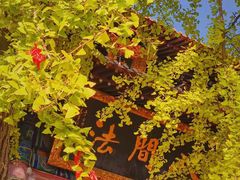 -宝通禅寺