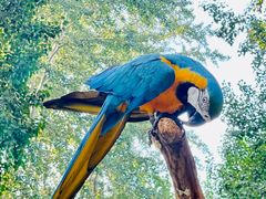 -北京野生动物园