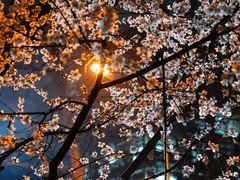 -安定门(地铁站)