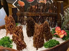 -季季山·云南野生菌火锅(上海首店)