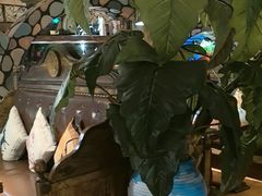 -凯撒城堡西餐厅(颐和国际店)