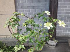 -兰婆婆餐厅淳安菜