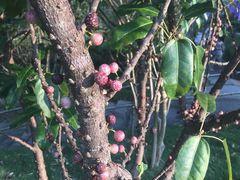 -龙潭生态旅游度假区