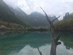 树正沟-九寨沟-树正沟