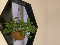 -蘇河湾·新鲁菜·泰山宴老店