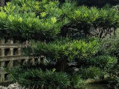 -成都杜甫草堂博物馆