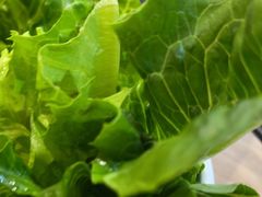 -探窝·竹笙椰子鸡(杨箕店)