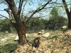 -西安秦岭野生动物园