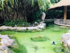 -新加坡飞禽公园