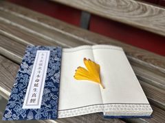 -钦赐仰殿道观