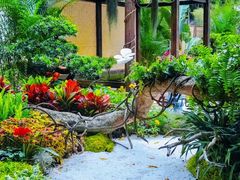 -深圳仙湖植物园