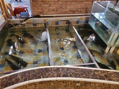 -缘福乡村铁锅炖民宿(八达岭店)