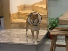 -NOTBAD 须时·咖啡馆