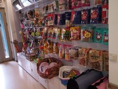 -瑞派宠物医院·内科·软组织·绝育中心(沈阳八纬路分院)