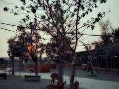 -鹿境梅花鹿生态园区