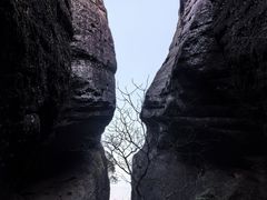 -冠豸山景区