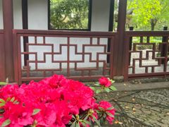 -汇龙潭
