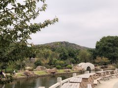 -白马涧龙池景区