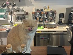 -Double cafe
