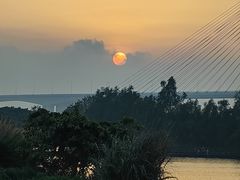 -芒洲湿地公园
