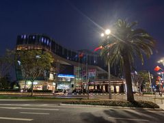 -红星美凯龙全球家居艺术博览中心(沙田广场店)