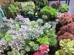 -老姐石板烧烤+铜炭火锅(总店)
