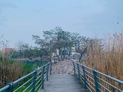 -美兰湖景区