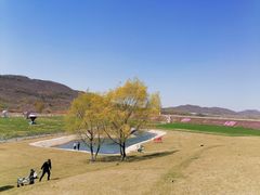 -大连铭湖国际观光牧场